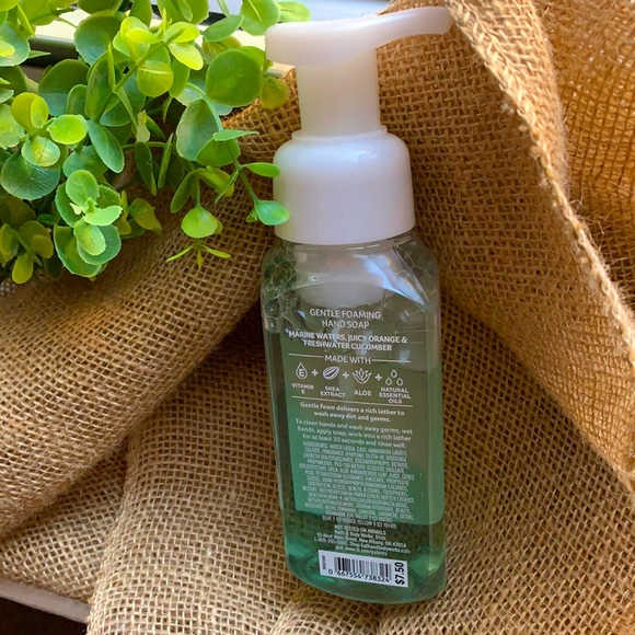 Bath & Body Works | Blue Sage & Lime | Gentle Foaming Hand Soap - Picture 2 of 6
